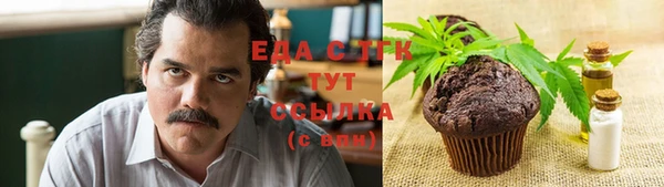 мдпв Рославль