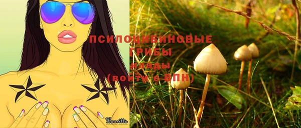 a pvp Абдулино