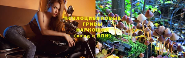 a pvp Абдулино