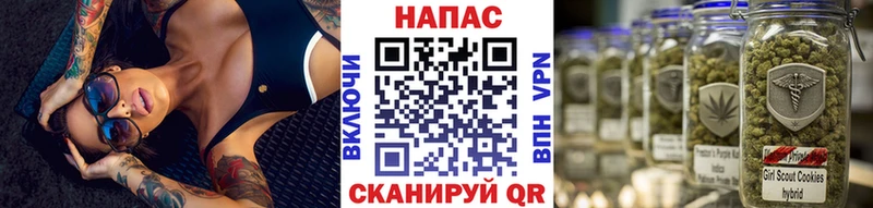Шишки марихуана SATIVA & INDICA что такое наркотик Черепаново